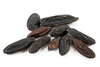 Tonka Beans 250g (Sussex Wholefoods)