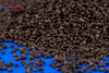 Tukmaria - Edible Vegetable Seeds 100g (TRS)
