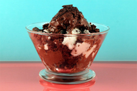 Chocolate & Coconut Ice Cream Sundae