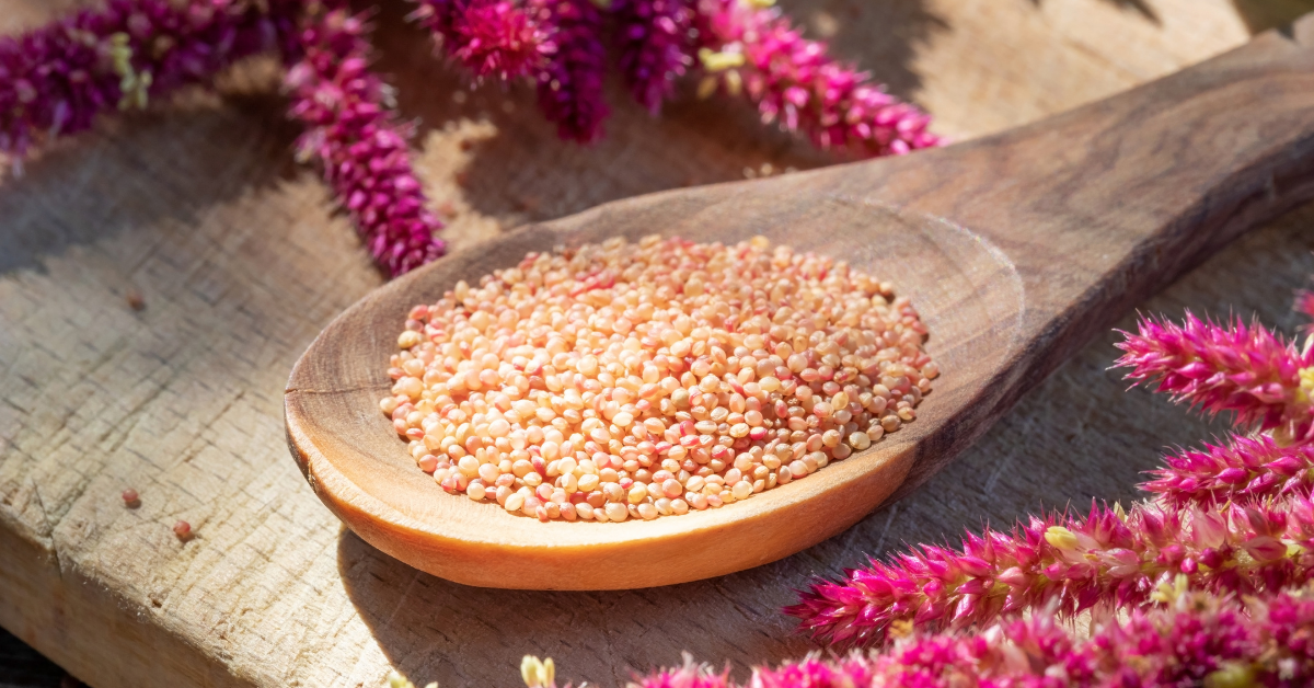 What is Amaranth?