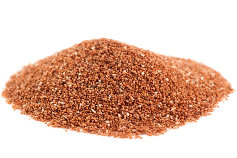 Ten amazing facts about Teff