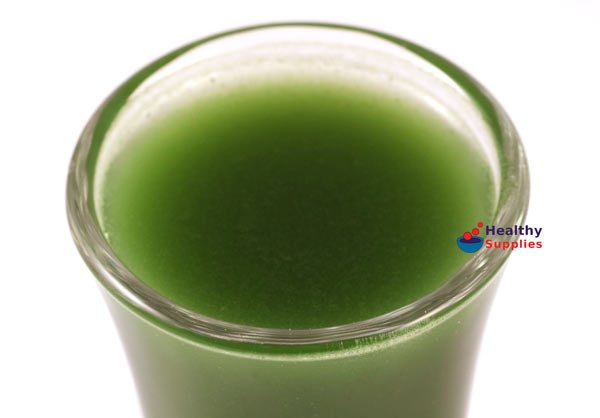 Buy Wheatgrass now