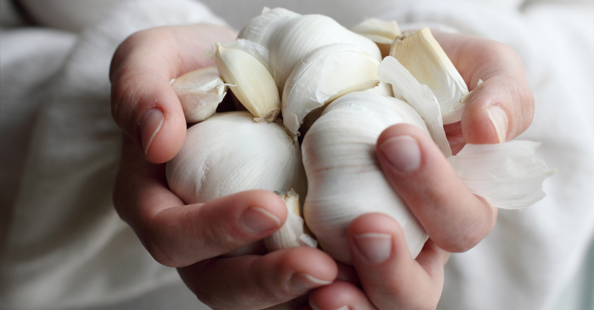 Here’s Why Everyone Should Eat More Garlic