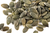 Organic Pumpkin Seeds 25kg (Bulk)