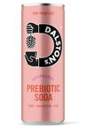 Raspberry Prebiotic Soda 250ml (Dalston's)