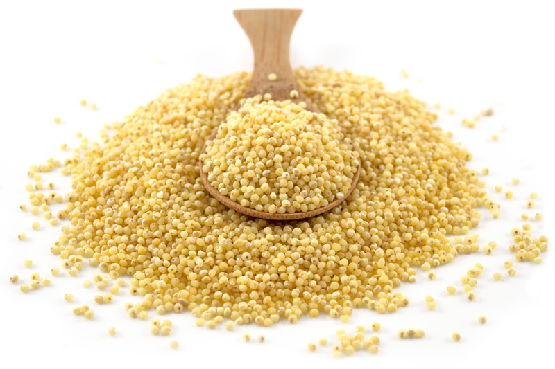 Millet Grain 1kg (Sussex Wholefoods)