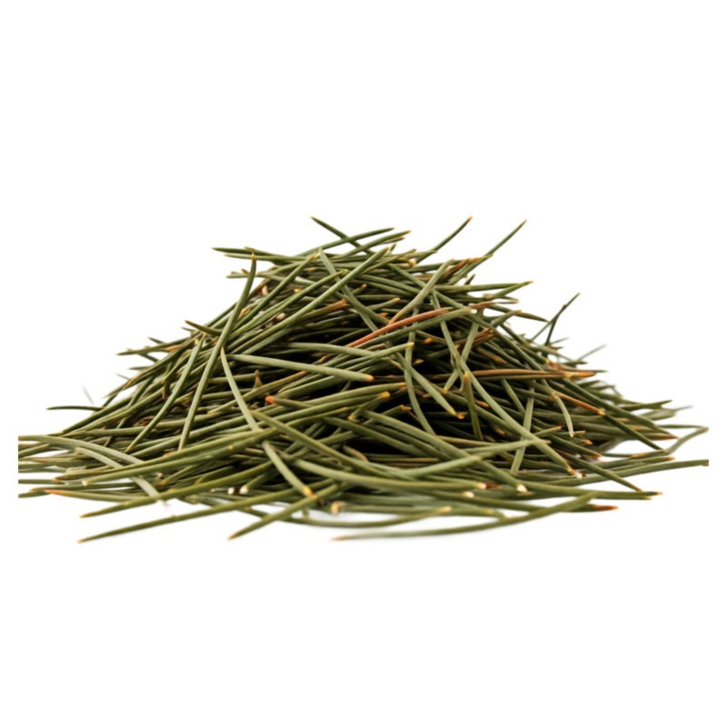 Pine Needles (Loose) Tea 100g (Sussex Wholefoods)