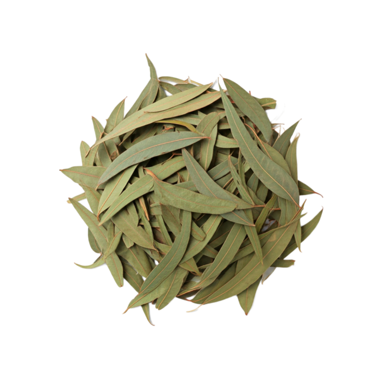 Eucalyptus Leaves 500g (Sussex Wholefoods)