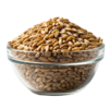 Organic Spelt Grain 25kg (Bulk)