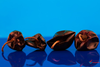 Cascabel Chillies, Whole 25g (Hampshire Foods)