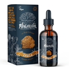 Organic Chaga Mushroom Tincture 50ml (Bristol Fungarium)