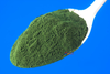 Chlorella Powder 50g, Organic (Body Me)