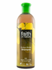 Ginkgo Biloba Shampoo 400ml (Faith in Nature)