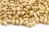 Pine Nuts [Kernels] 25kg (Bulk)