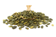 Organic Roasted Pumpkin Seeds 1kg (Sussex Wholefoods)