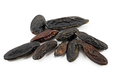 Tonka Beans 250g (Sussex Wholefoods)