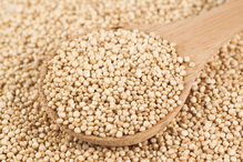 Quinoa