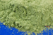 WheatGrass Juice Powder, Organic 5kg (Bulk)