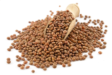 Brown Lentils