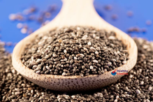 Chia Seed Recipes