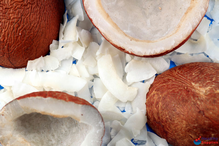 Coconut