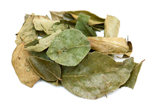 Curry Leaves