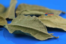 Kaffir Lime Leaves 10g (Hampshire Foods)