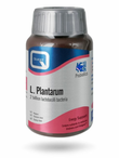 L. Plantarum 90 capsule (Quest)