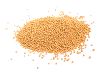 Mustard: Yellow Mustard Seeds 100g (Hampshire Foods)