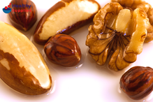 Nutty Oils