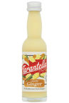 Organic Liquid Ginger 40ml (Tarantella)