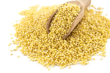 Organic Millet Grain 25kg (Bulk)