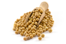 Organic Soya Beans 500g (Sussex Wholefoods)