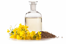 Rapeseed Oil