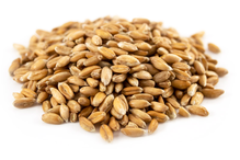 Buy Spelt Online - Healthy Supplies