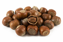 Hazelnuts in Shell