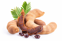 Tamarind