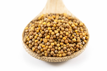 Mustard Seeds