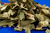 Leek Flakes 100g by Sussex Wholefoods