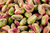 Organic Pistachios 25kg (Bulk)