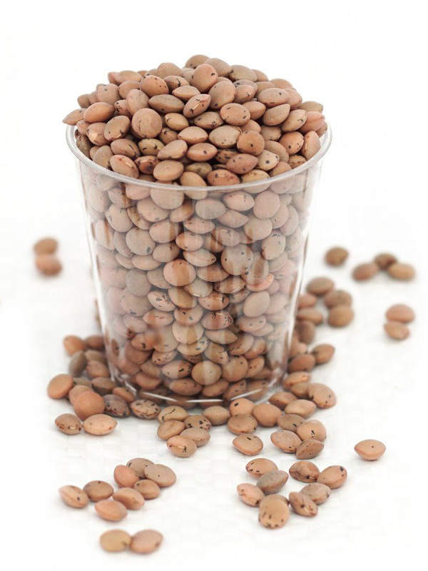 Brown Lentils, Organic 500g (Aconbury Sprouts)