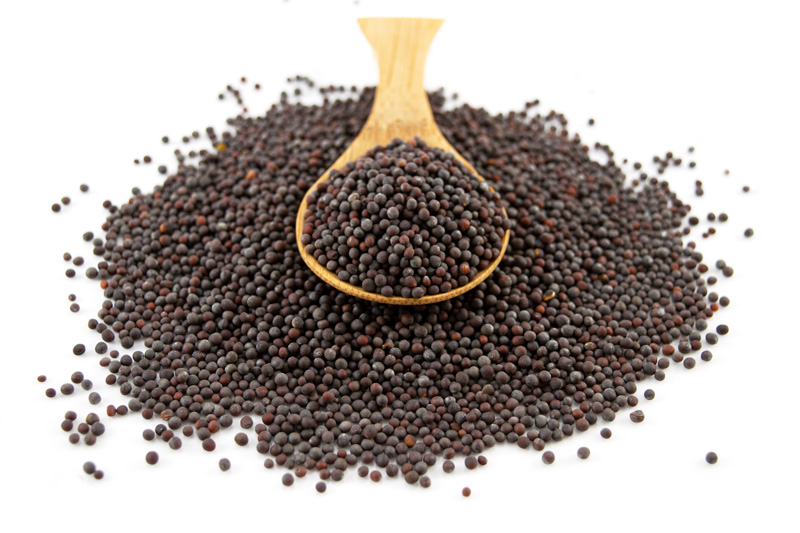 Organic Brown Mustard Seeds 100g (Sussex Wholefoods)