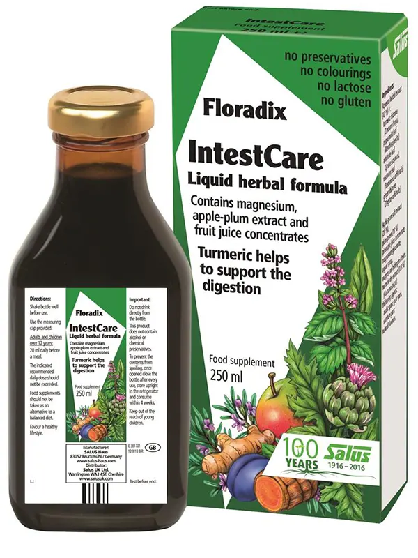 IntestCare 250ml (Floradix)