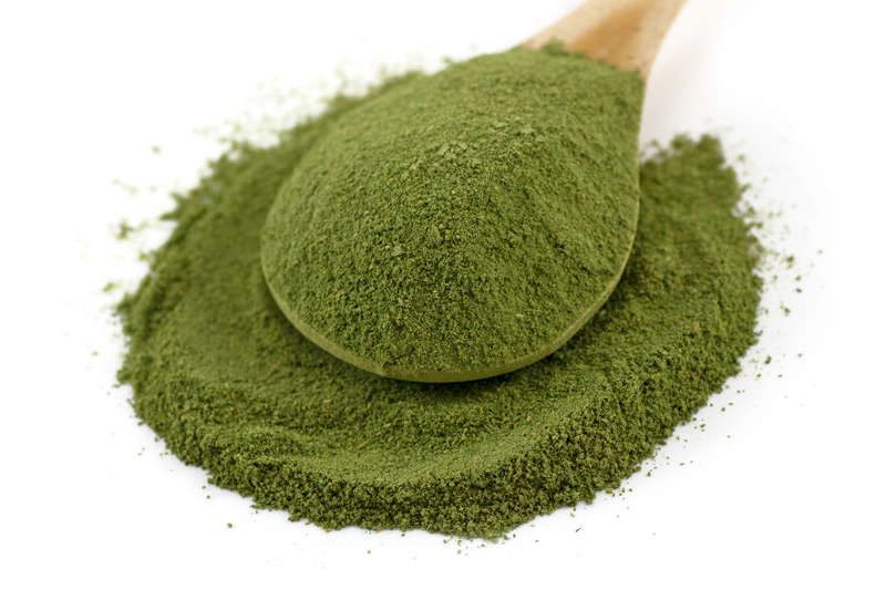 Kale Powder 25kg (Bulk)