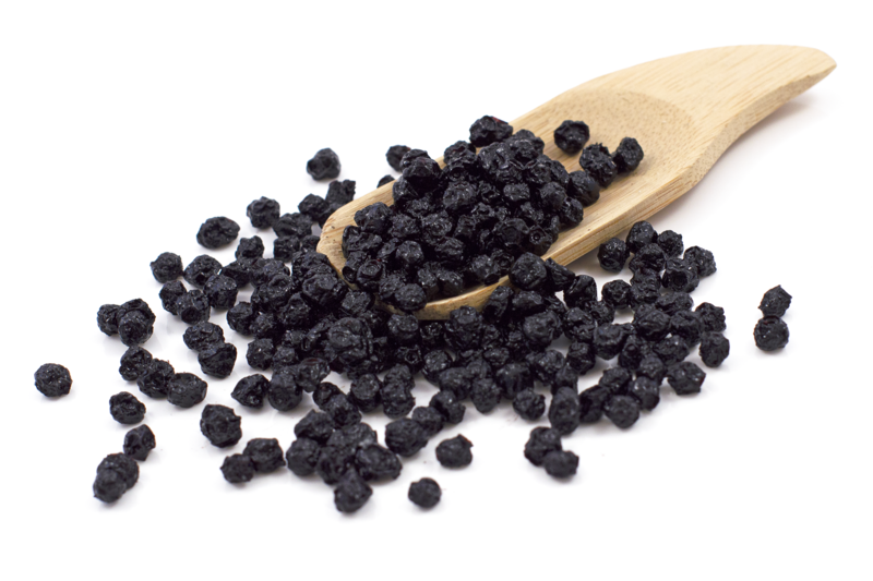 Organic Dried Blueberries 11.34kg (Bulk)