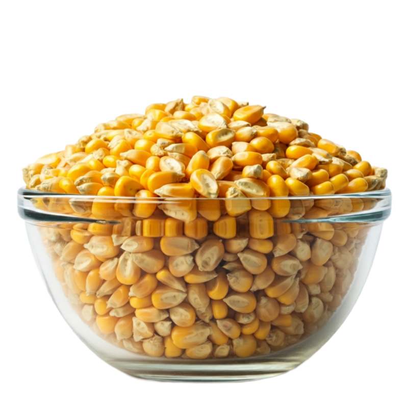 Organic Popping Corn 25kg (Bulk)