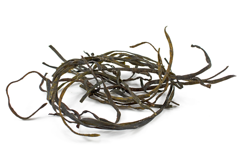 Organic Sea Spaghetti 100g (Sussex Wholefoods)