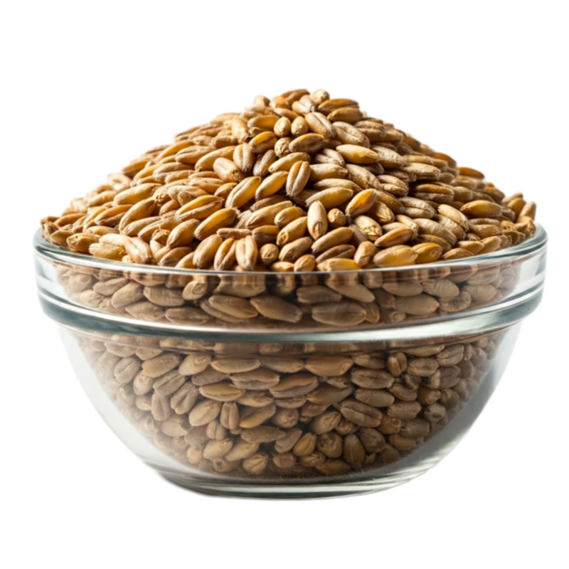 Organic Spelt Grain 25kg (Bulk)