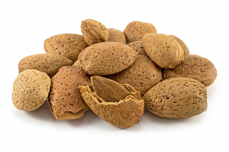 Almonds in Shell 25kg (Bulk)