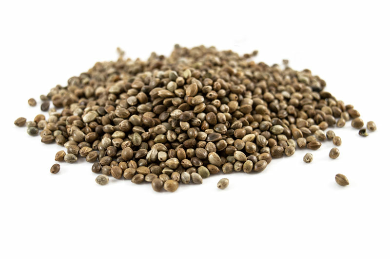 Organic Hemp Seeds 25kg (Bulk)